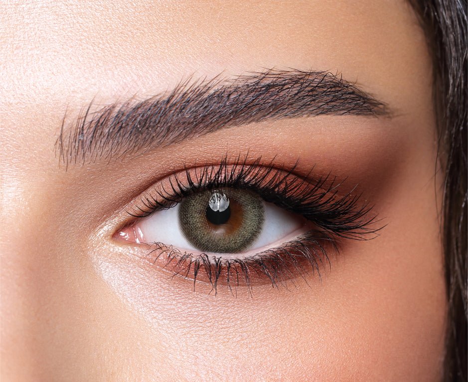 BELLA PINE - ONEDAY COLLECTION