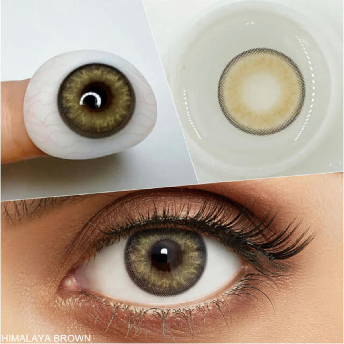 HIMALAYAN BROWN – Premium Bridal Eye Lenses