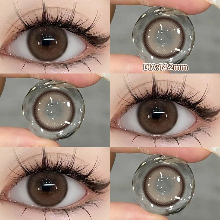 ALL NEW KOREAN SHADES ♥️ Circle Brown+Circle Grey + Sandy Brown